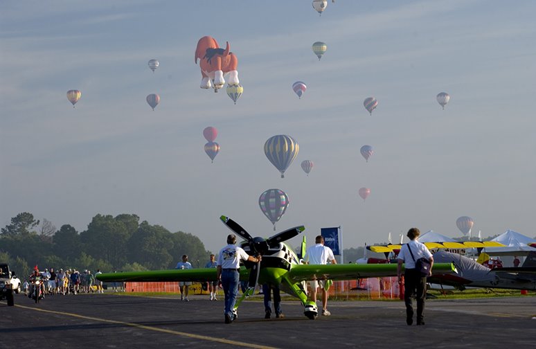 [Blooming+Balloons+2-4143.jpg]