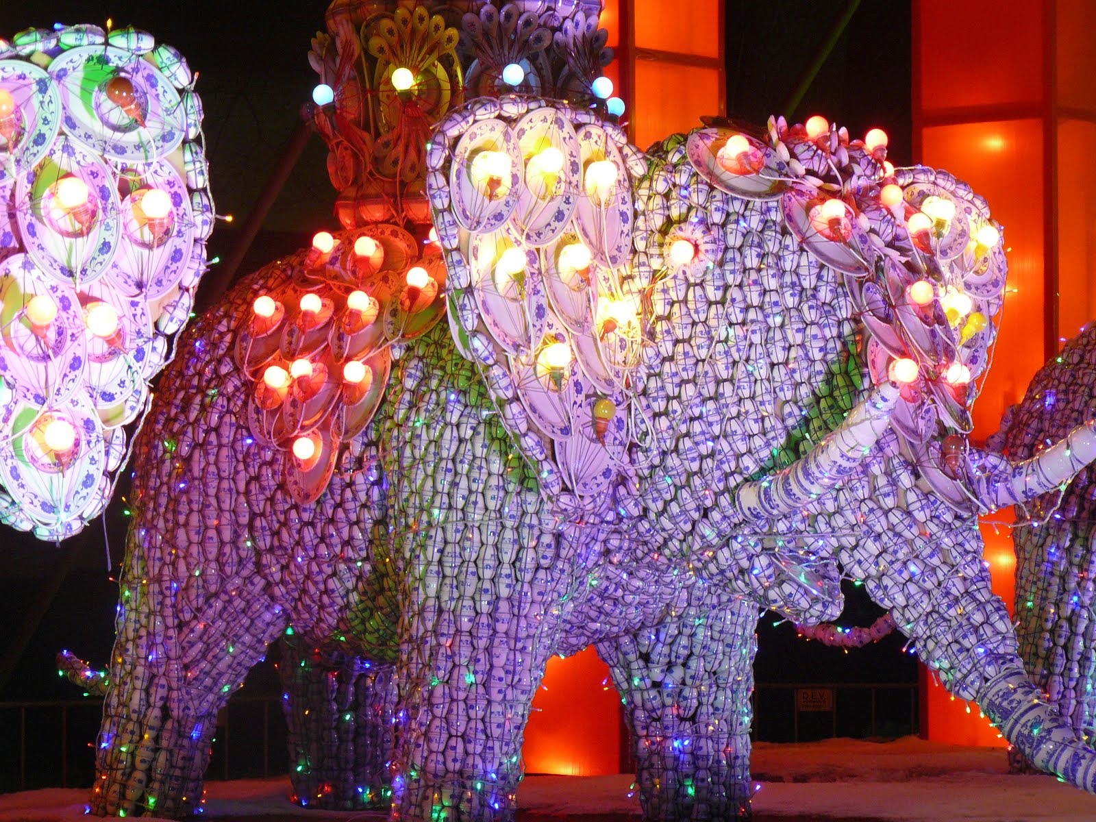 [China+lights+december+2009+114.JPG]