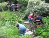 green fingers