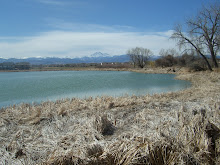 Springtime in the Rockies...