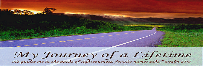 My Journey of a Lifetime