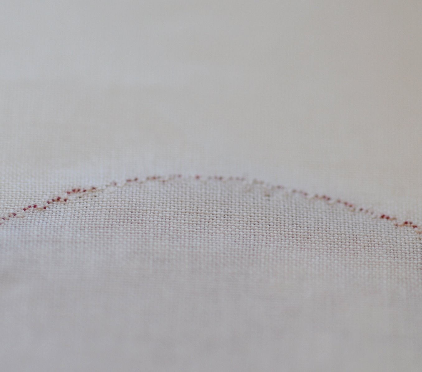 [Back+of+scallop.JPG]