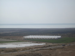 Greenhouse farming on the banks of the "dead Sea,Israel"
