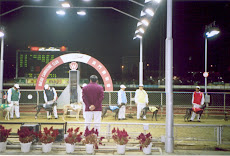 Greyhounds being paraded before the "Grandstand" in the Macau Canidrome(Thursday 15-12-2005)