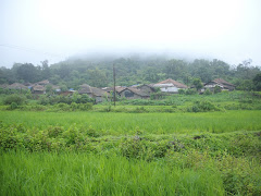 "Peth village" with its green rice fields .