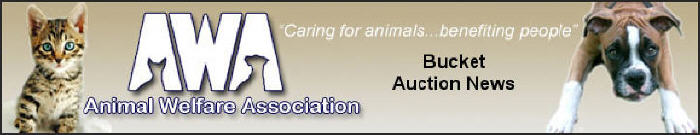 AWA Bucket Auction