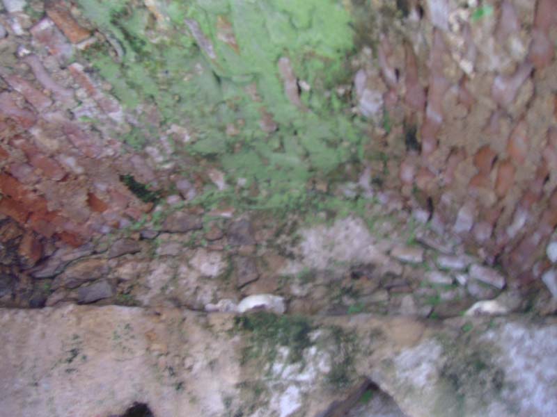 [IMG_1243.JPG]