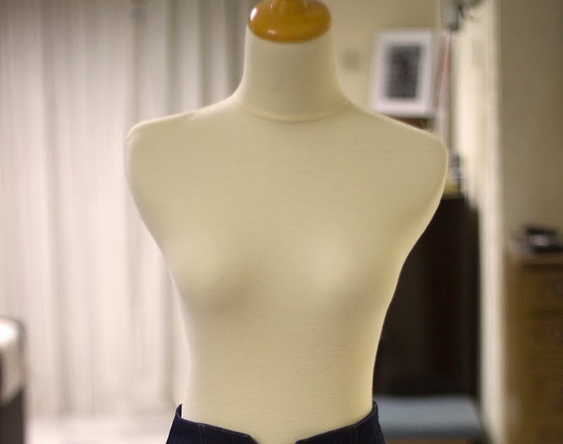 The Wearables: High Waisted Denim Shorts