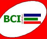 Bangladesh Computer Institute's Engineering Institute(BCIEI) Blog
