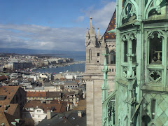 View from St. Peter's Cathedral