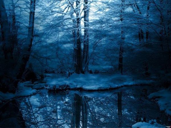 [Breathtaking_Photographs_of_Nature+_04.jpg]