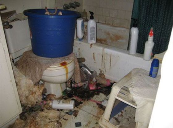 the_filthiest_apartments_22.jpg