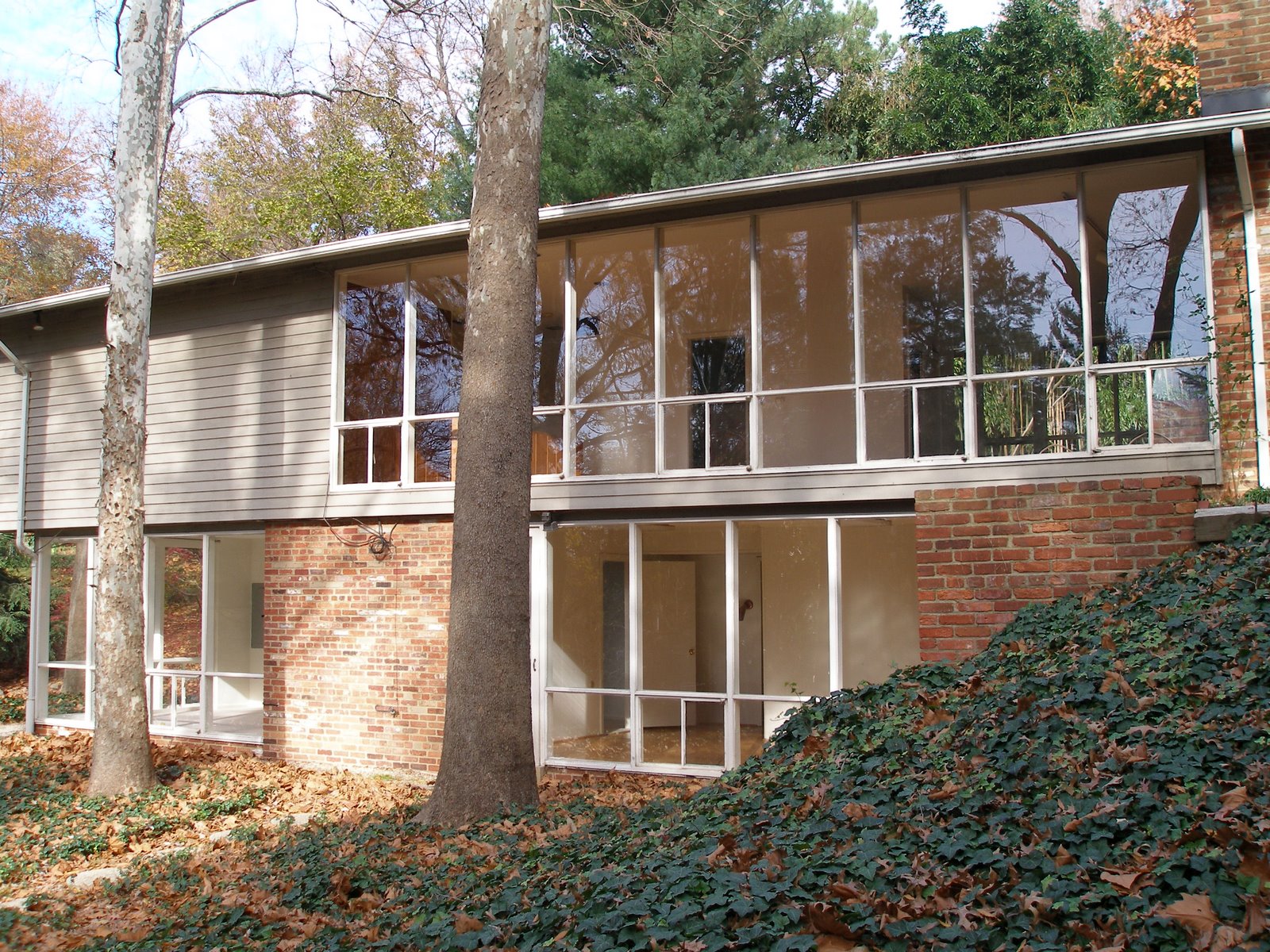 Three New Goodman Listings in Hollin Hills Modern Capital DC Modern