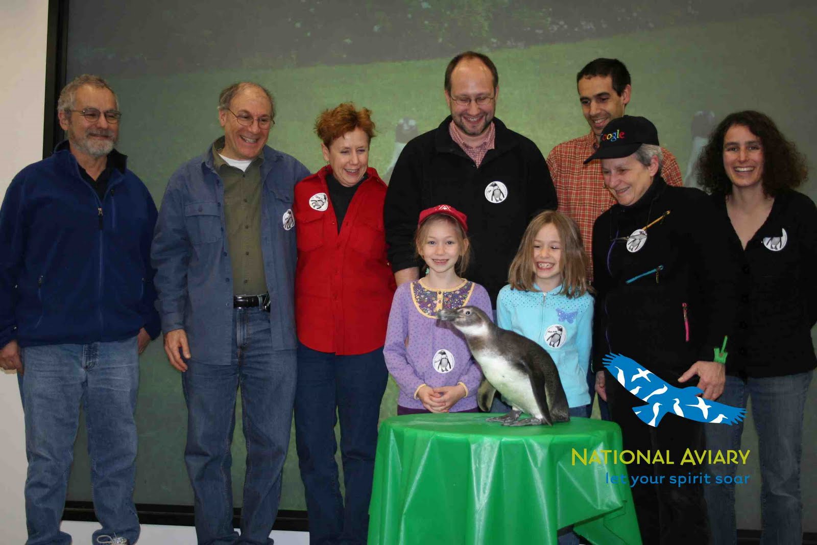 preston penguin