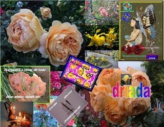 ANIVERSARIO DEL BLOG DE SABELA