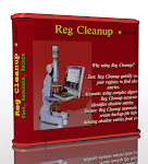 Reg Cleanup 2009 for Windows