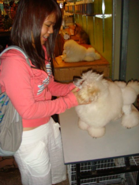 [DSC05538.JPG]
