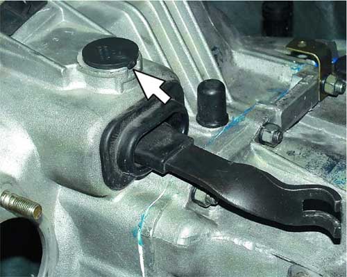Автокормушка для рыб своими руками для пруда Автокормушка для рыб своими руками для пруда