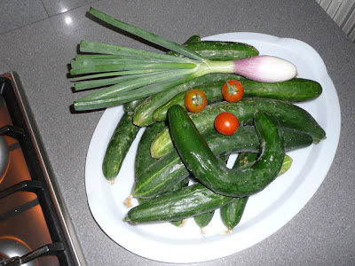 cetrioli, cipolla, pomodori, ortaggi