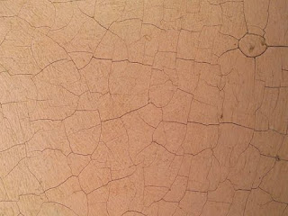 Craquelè - la sottilissima rete di solchi che spesso appare sulla superficie dei quadri antichi