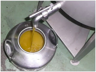 frantoio olio extravergine oliva