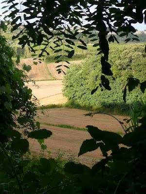 campagna toscana