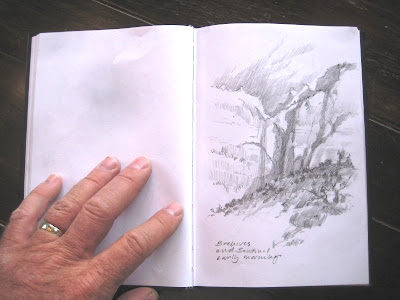 Roland Lee sketchbook drawing of Zion