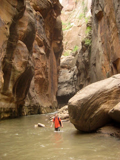 HIking in Zion Narrows Zion National Park