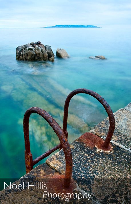 [Bullock_midsummer.jpg]