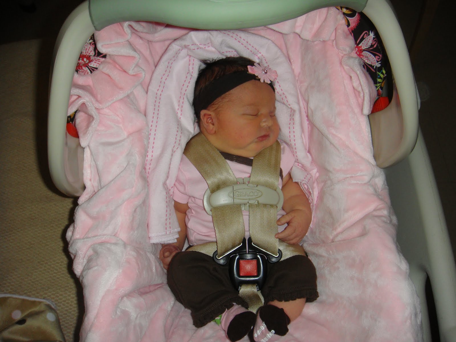 The Stuart S 11 01 2009 12 01 2009