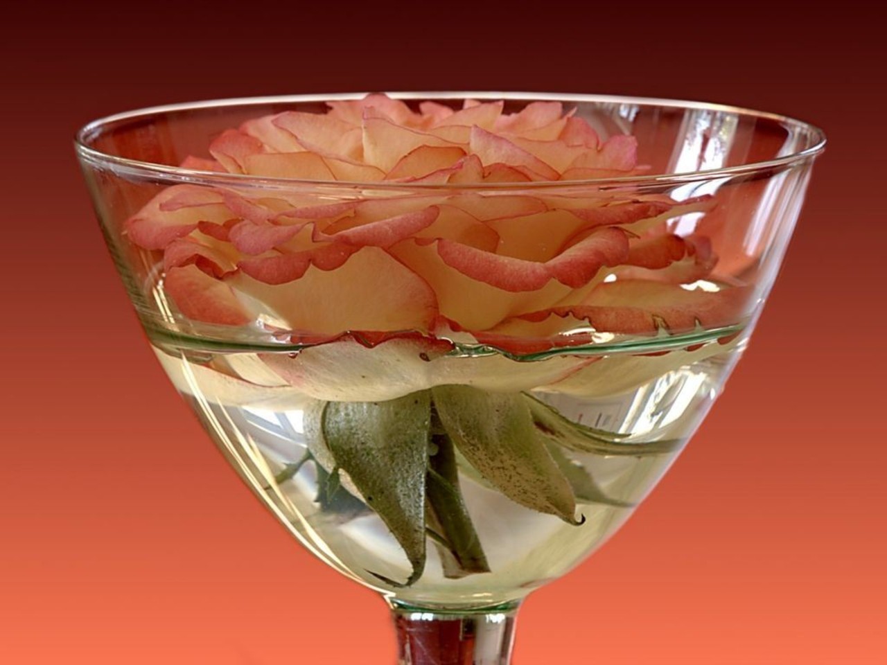 http://4.bp.blogspot.com/_X0C-yBXGrVs/TDB0H4deb9I/AAAAAAAAAXs/YL7tHl_dx04/s1600/pic+08.jpg