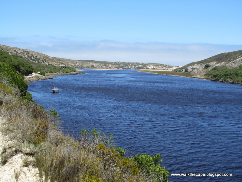 Beautiful Estuaries