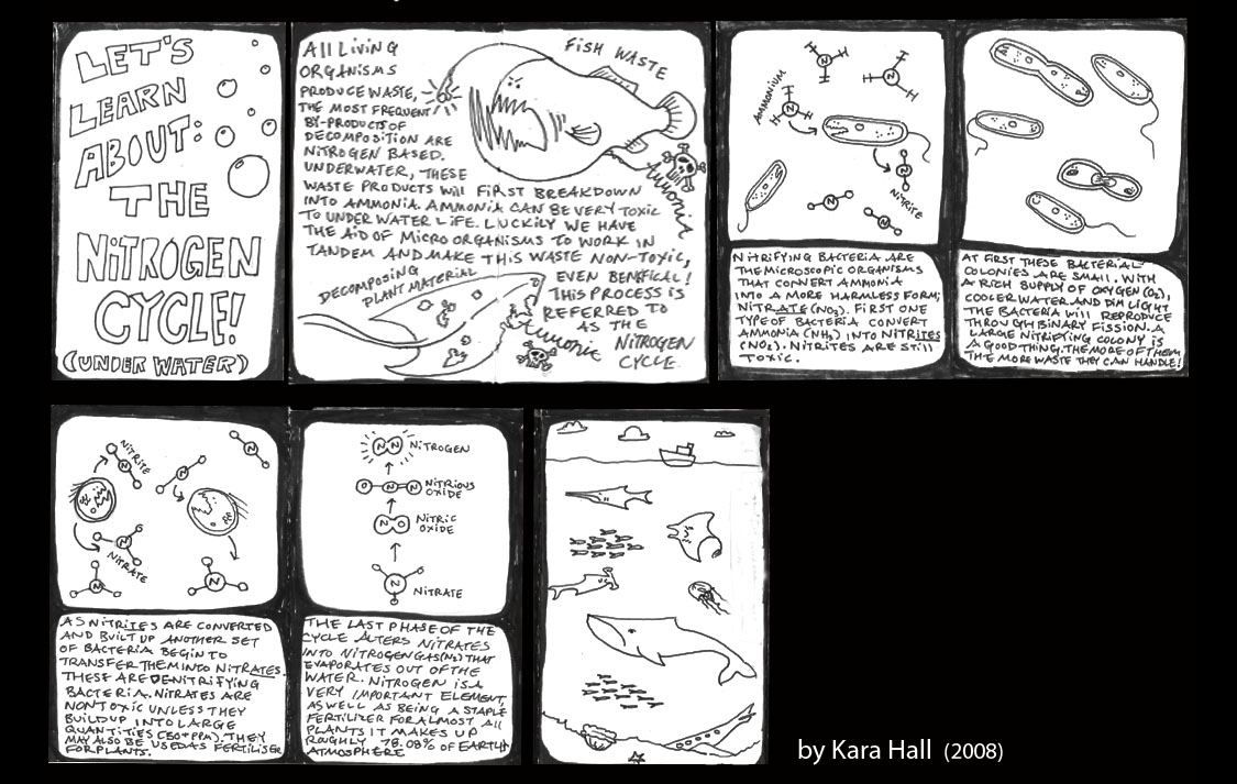 [LetsLearnAboutTheNitrogenCycle.jpg]