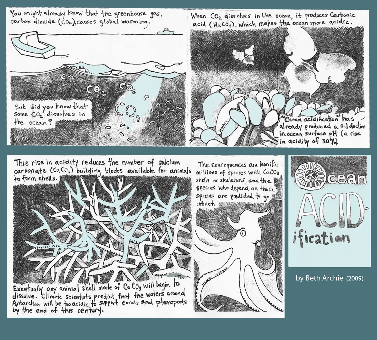 [OceanAcidification.jpg]