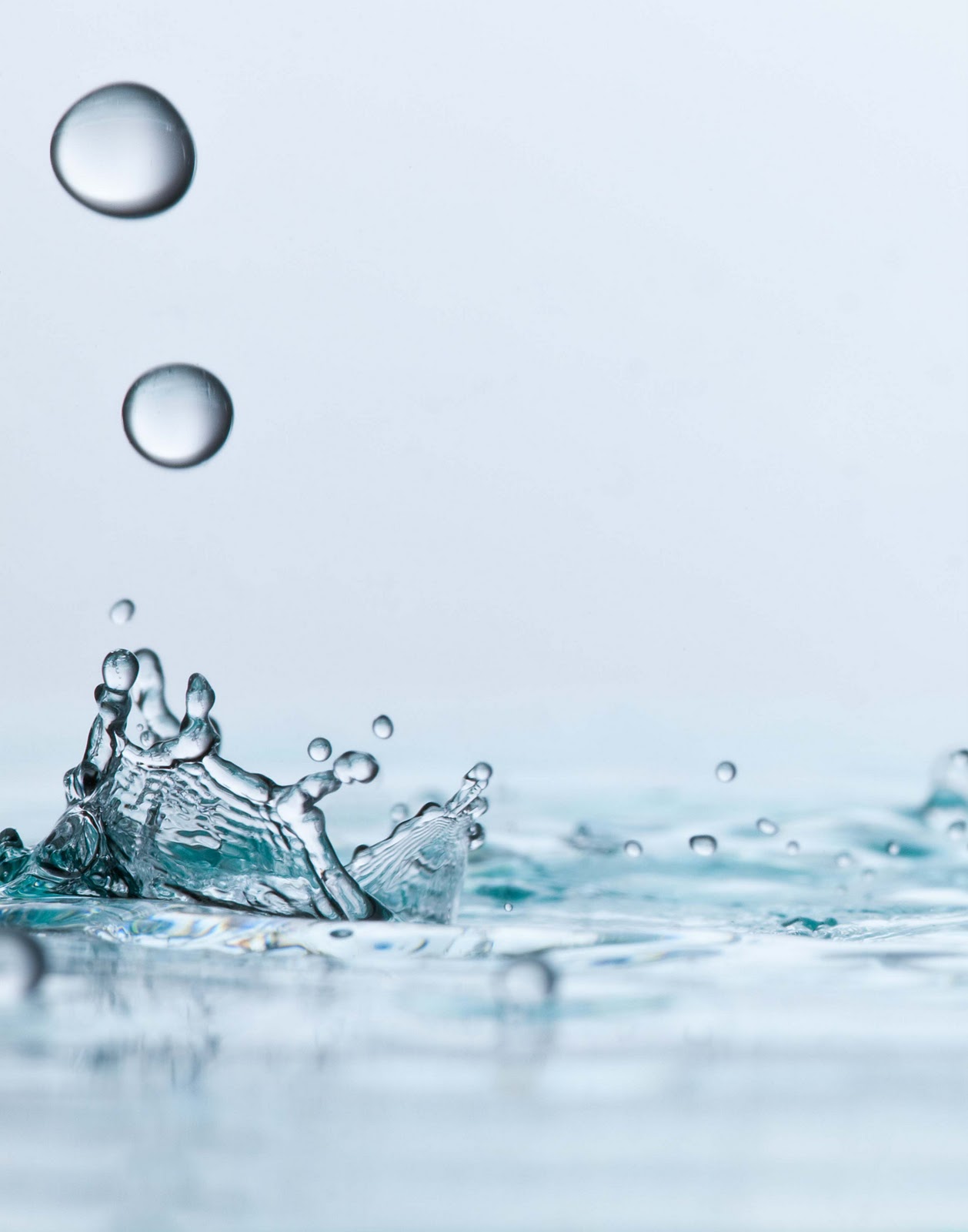 THE SMALL SCIENCE COLLECTIVE Free Water vs. Bottle Water