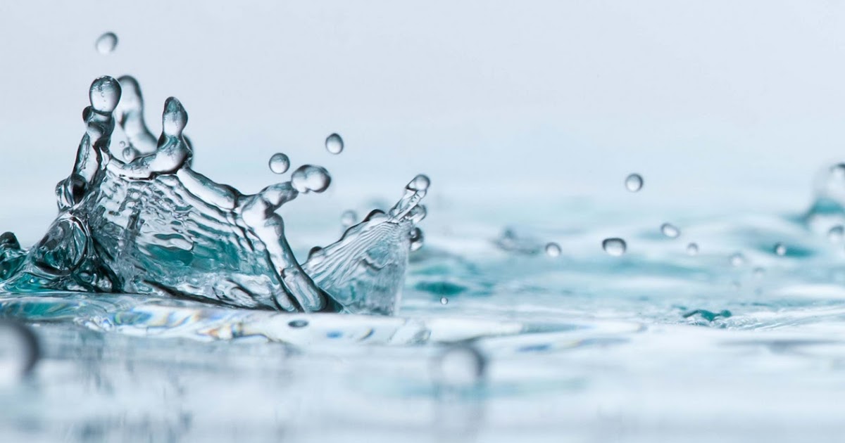 THE SMALL SCIENCE COLLECTIVE Free Water vs. Bottle Water