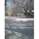 [March+29+snow+2009+back+yard+4.jpg]