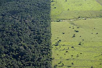 Desmatamento na região de Alta Floresta (MT), município que faz parte da Amazônia; prática teve crescimento de 157% em um ano