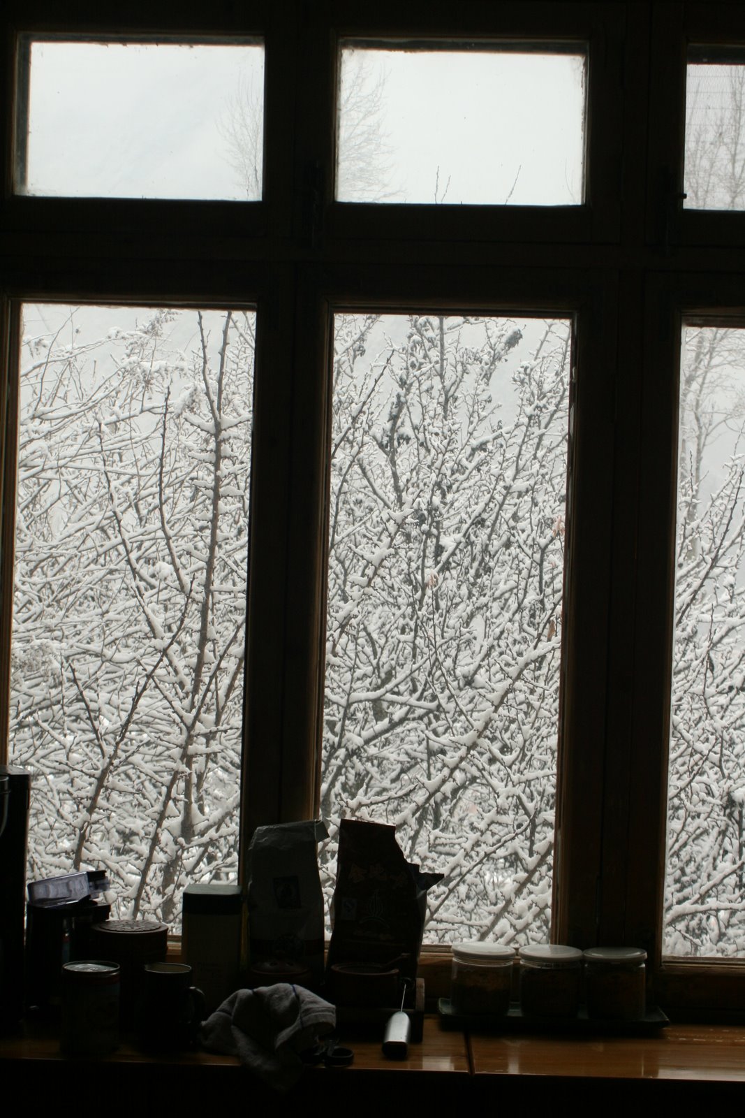 [IMG_8021.JPG]