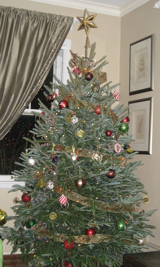 [tree.JPG]