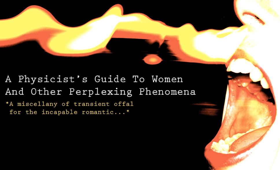 A Physicist's Guide To Women And Other Perplexing Phenomena