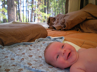 Thebartlowbunch First Camping Trip To Mcgee Creek State Park