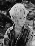 Lord of the Flies Literary Analysis Essay