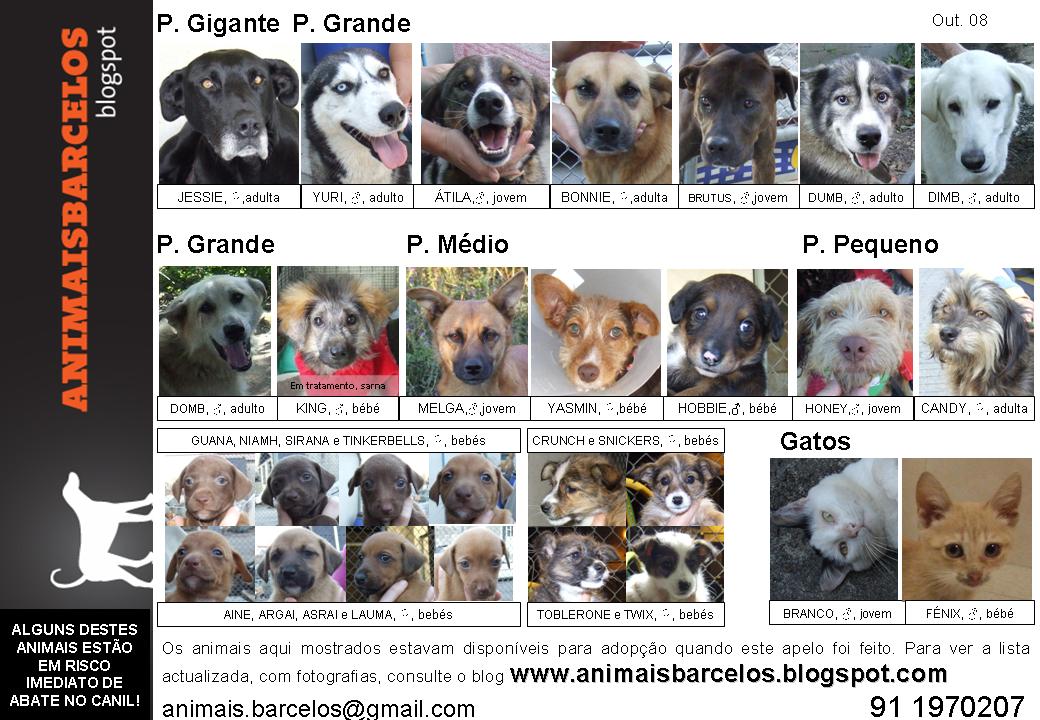 [Apelo+geral+OUT.jpg]