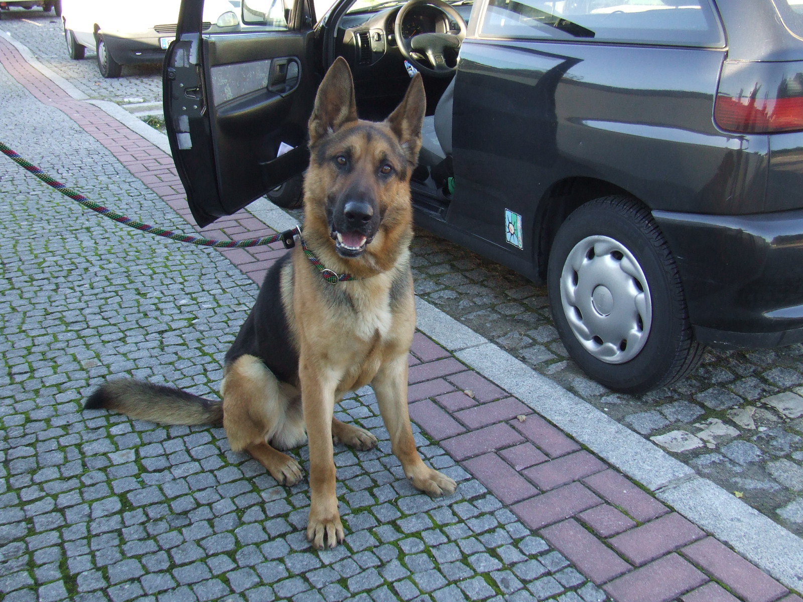 [2008_12160039.JPG]