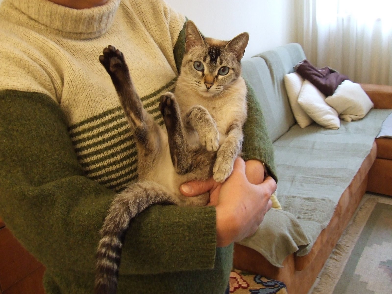 [2009_03050012.JPG]