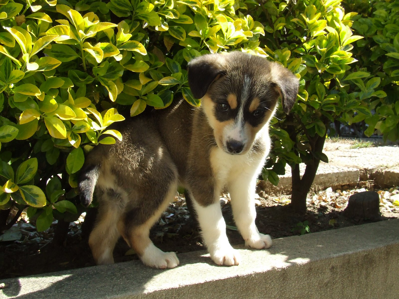 [2009_03310021.JPG]