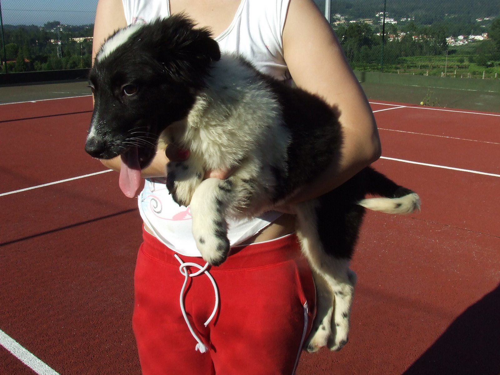 [2009_06120138.JPG]
