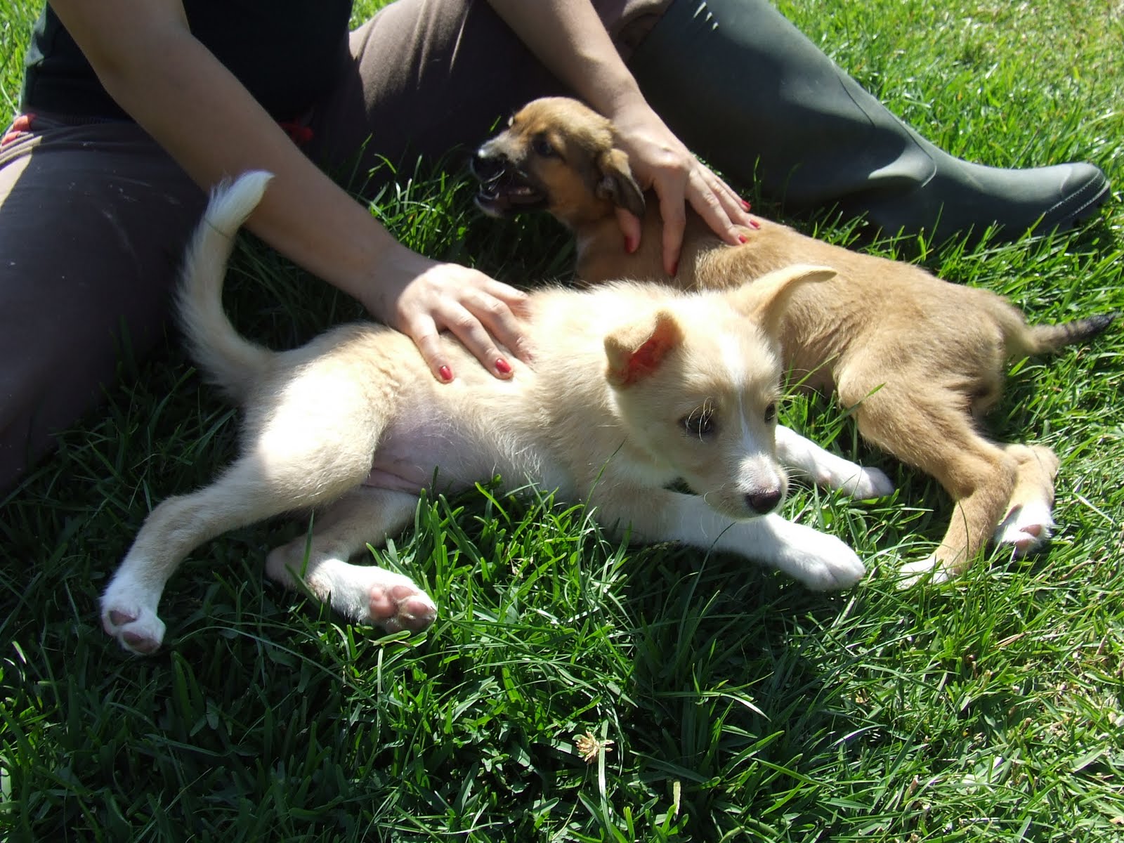 [2009_08090230.JPG]