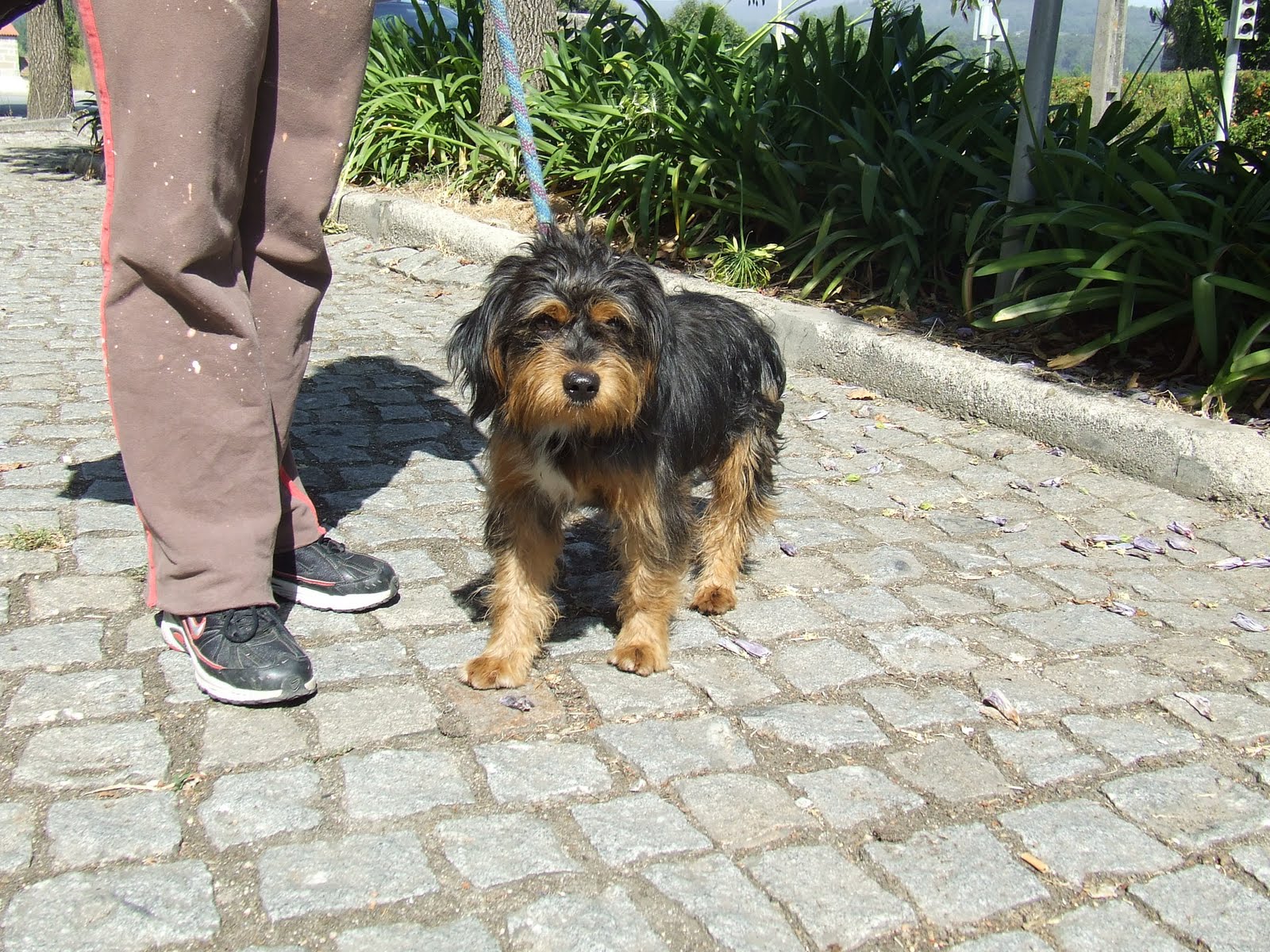 [2009_08310031.JPG]